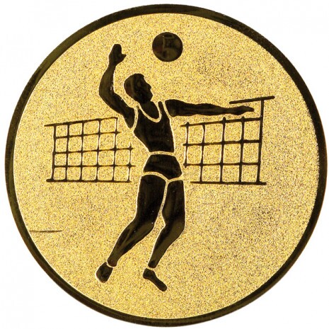Volleyball (Männer) Emblem