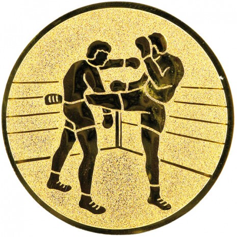 Kickboxen Emblem