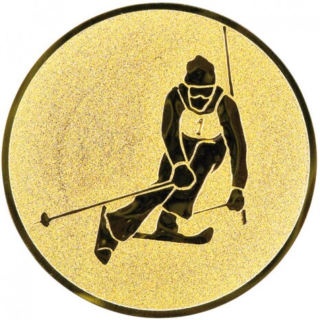 Ski Alpin Emblem