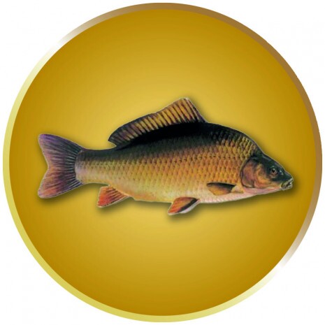 Karpfen Emblem