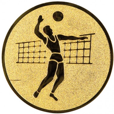 Volleyball (Männer) Emblem