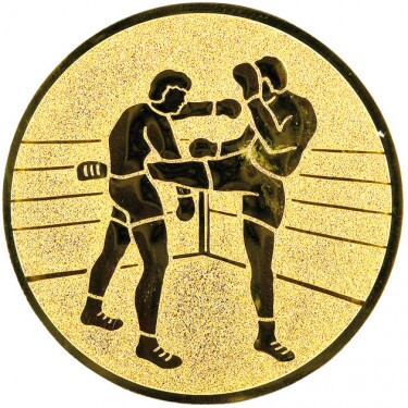 Kickboxen Emblem