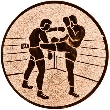 Kickboxen Emblem