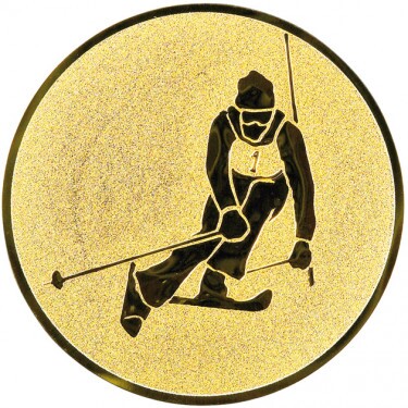 Ski Alpin Emblem