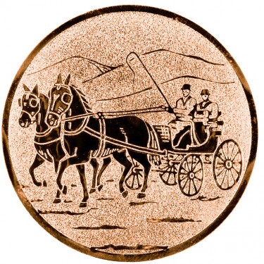 Fahrer (Fahren) Emblem
