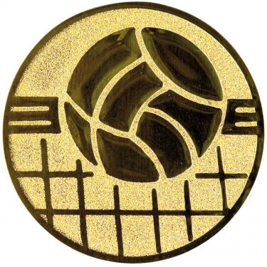 Volleyball Emblem