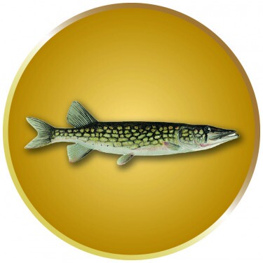 Hecht Emblem