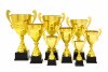 Premium-Pokal Daniel
