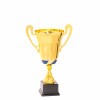Premium-Pokal Igor