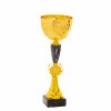 Standardpokal Kara
