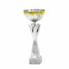 Standardpokal 42