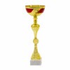 Standardpokal 19