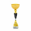 Standardpokal 25