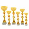 Standardpokal 31