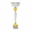 Standardpokal 36