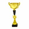 Standardpokal 00