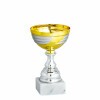 Economy Pokal Lola C