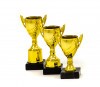Economy Pokal 61