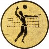 Volleyball (Männer) Emblem