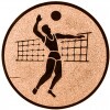 Volleyball (Männer) Emblem