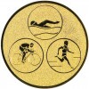 Triathlon Emblem