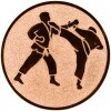 Karate Emblem