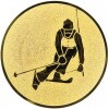 Ski Alpin Emblem