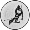 Ski Alpin Emblem