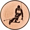 Ski Alpin Emblem