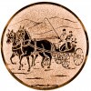Fahrer (Fahren) Emblem