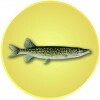 Hecht Emblem