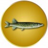 Hecht Emblem