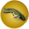 Wels Emblem