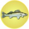 Zander Emblem