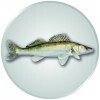 Zander Emblem