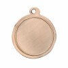 Medaille 310