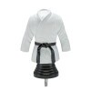 Karate Bunte Figur