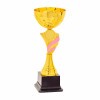 Kids-Pokal Kendi