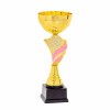 Kids-Pokal Kendi
