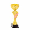 Kids-Pokal Kendi
