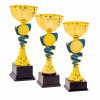 Kids-Pokal Koren
