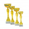 Rumänischer Nationalpokal Florina