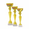 Ungarischer Nationalpokal Huba