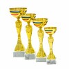 Rumänischer Nationalpokal Florina
